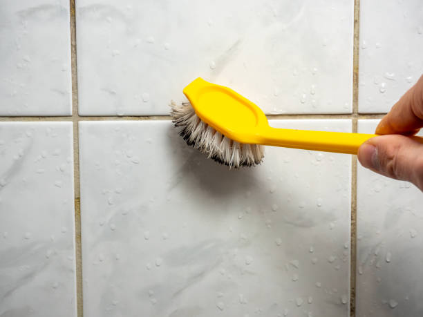 Best Certified Mold Removal  in Prairieville, LA