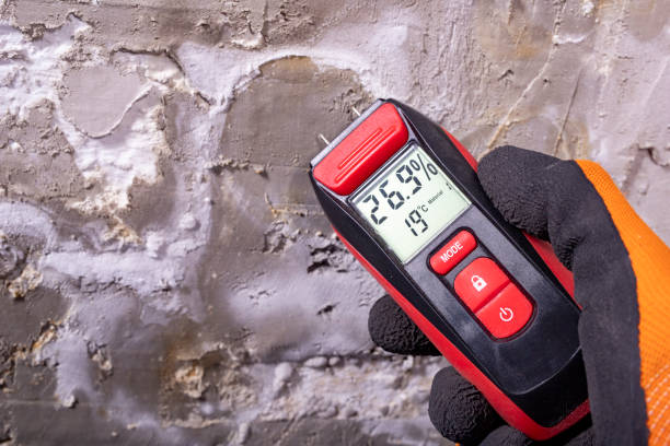 Best Professional Mold Removal  in Prairieville, LA