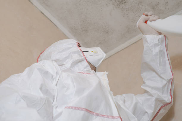 Prairieville, LA Mold Removal Company