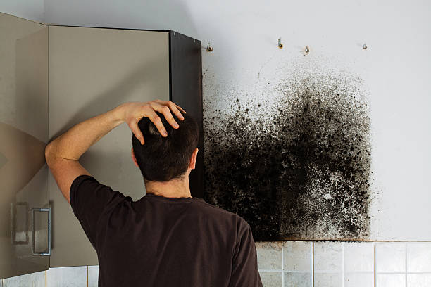 Best Mold Removal Process  in Prairieville, LA